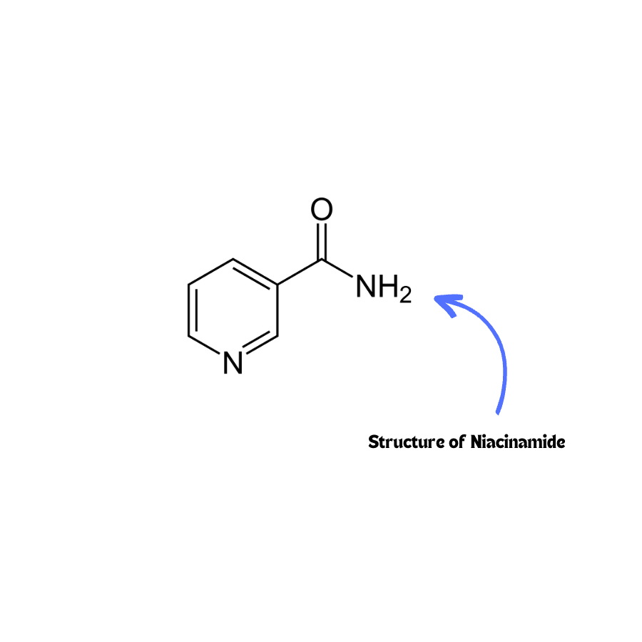 Niacinamide structure